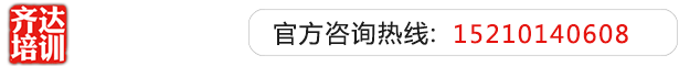 黑吊操逼电影齐达艺考文化课-艺术生文化课,艺术类文化课,艺考生文化课logo